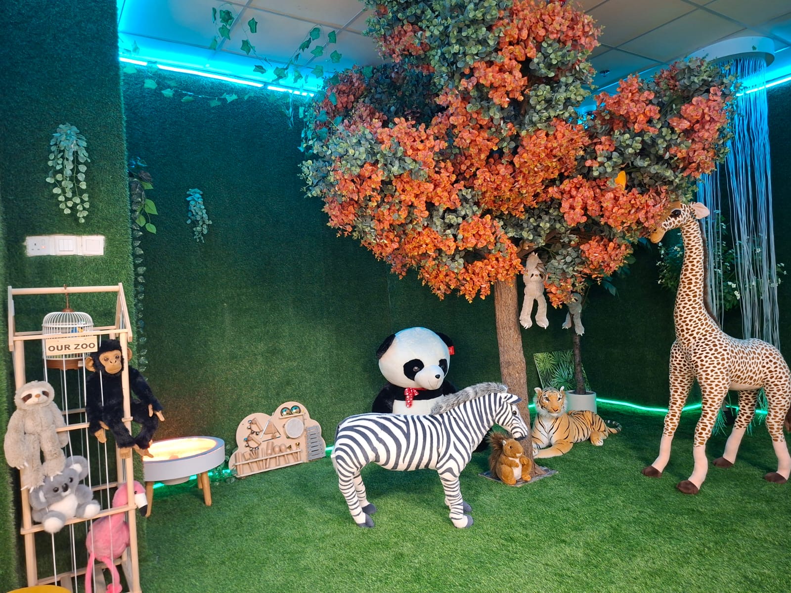 "Our Zoo" imaginative play area