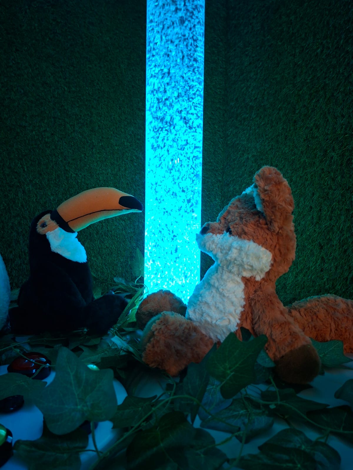 Sensory bubble tube — calming corner